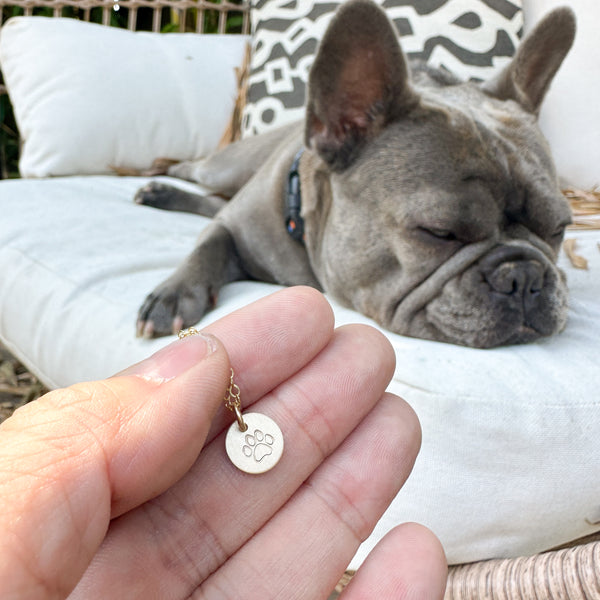 Gold Paw Print Disc Necklace